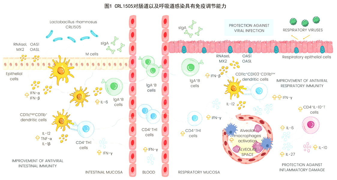 1-250619143154U6.jpg 1-250619143154U6.jpg